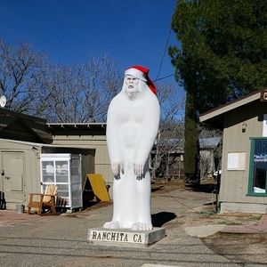 Meet your Posher, Margie